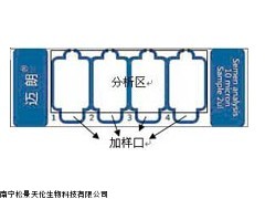 MAILANG一次性精子計(jì)數(shù)板，四腔室精子計(jì)數(shù)板，精子計(jì)數(shù)板