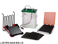 伯乐Mini Trans-Blot Cell转印槽