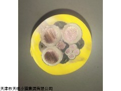 德州MBP-3*50+3*10mm变频橡套电缆价格