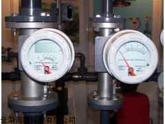 HLZ氖气流量计，氖气流量计价格