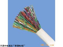 ZR-DJYPVP ZR-DJVVP ZR-DJYPVP電纜