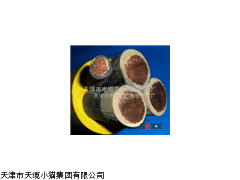 洛阳BPMBP变频设备用橡套电缆