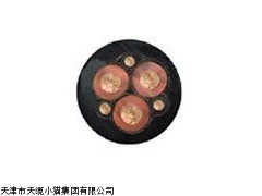 MBP煤矿用额定电压10KV变频器装置用橡套电缆