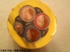 MVFP是什么电缆MVFP变频器橡套电缆
