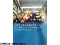 MVFP-3*50+3*10mm变频器装置用橡套电缆价格