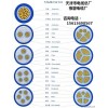 低烟无卤控制电缆