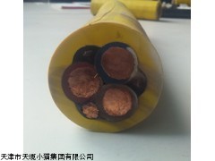 ZR-BPMVFP变频器阻燃型矿用橡套电缆380V
