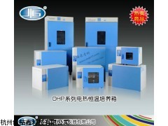 DHP-9162电热恒温培养箱
