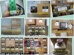 TOPWORX 限位开关 DXS-L41GMEB