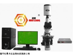 迈朗犬精子质量分析仪，动物精子分析仪生产厂家