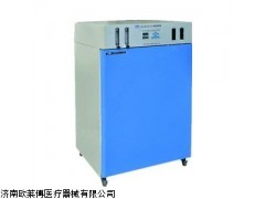 恒字WJ-2二氧化碳培養(yǎng)箱