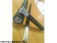 CEFR天然丁苯缘船用橡套电缆0.6/1kv 3*25价格