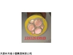 CEFR船用橡套电缆EFR1*300开关柜电缆