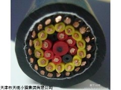 天津电缆价格VV屏蔽聚氯乙烯护套电力电缆 VV22