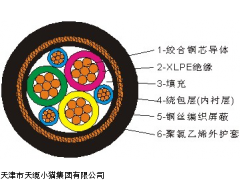 天津电缆价格VV,VV22,铠装电力电缆生产价格