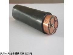 天津电缆价格ZR-VV22铠装阻燃电力电缆