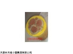 深圳电缆销售MYP矿用橡套电缆
