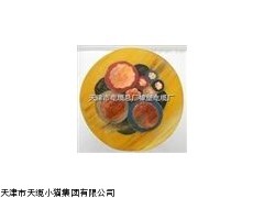 盾构机高压橡套软电缆UGEFHP露天高压橡套电缆