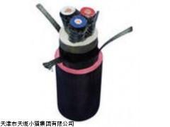 供应UGEFHP高压耐寒屏蔽橡套软电缆