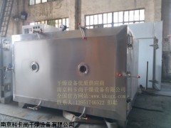 大型真空干燥箱，大型防爆真空干燥箱，大型高溫真空干燥箱