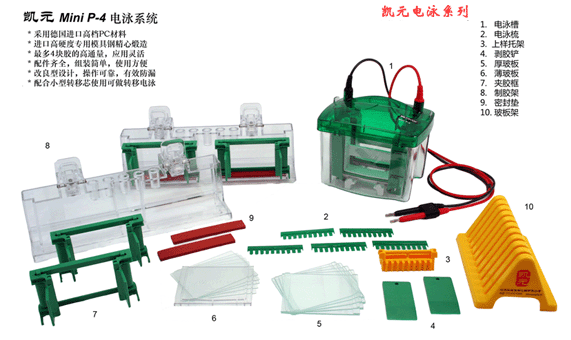  凯元垂直电泳槽Mini P-4