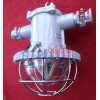 DGS24/127L(A)矿用隔爆型LED巷道灯