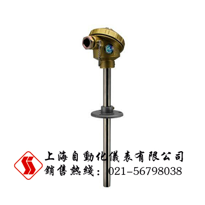WRN-320装配式热电偶