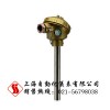 供应双支WRR2-131无固定装置式热电偶