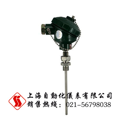 WZPK-236铠装铂电阻