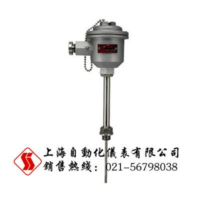 WRN-740化工專用隔爆熱電阻