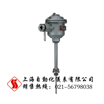 WRN-740化工專用隔爆熱電阻