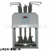 ZLXJ-06G高氯COD消解器