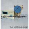 水压脉动监测装置