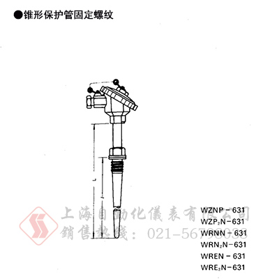 WZNP-631耐腐型熱電阻