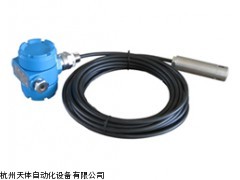 投入式液位变送器WP311