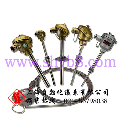 WSS-481雙金屬溫度計