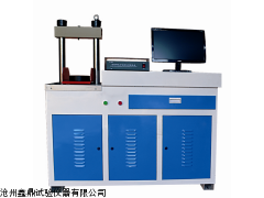 DYE-300全自動(dòng)電腦恒應(yīng)力壓力試驗(yàn)機(jī)