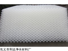 重庆水厂沉淀池蜂窝斜管填料