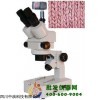 三目体视显微镜XTZ-350D