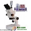 三目体视显微镜XTZ-350C