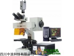 正置熒光顯微鏡TYU-20C