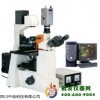 研究倒置显微镜XTU-50C