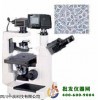 電腦倒置顯微鏡XTU-20D