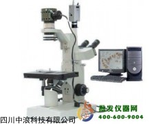 三目倒置顯微鏡XTU-10C