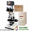 透反射偏光熔点仪XPR-300D