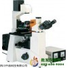 研究倒置生物显微镜XSP-19C