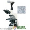 电脑生物显微镜XSP-13CD