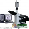三目电脑金相显微镜4XC-V