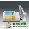 電化學分析儀專業型ph計/電導計/離子計PP-20-P11