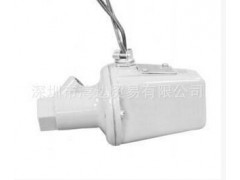 45UV5-1008火焰检测器